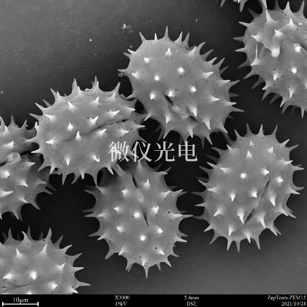 sem掃描電鏡的原理、組成、基本參數(shù)和應(yīng)用的介紹